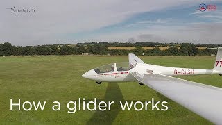 How a glider works [upl. by Akimahc]