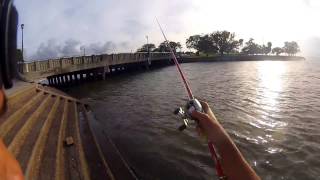 Bank Fishing Lake Pontchartrain Seawall [upl. by Ayotak273]