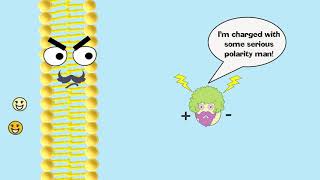 Facilitated Diffusion Explained [upl. by Notyal255]