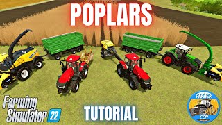 GUIDE TO GROWING POPLARS  Farming Simulator 22 [upl. by Turmel]