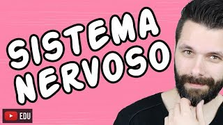 SISTEMA NERVOSO  FISIOLOGIA  Aula  Biologia com Samuel Cunha [upl. by Dirraj]