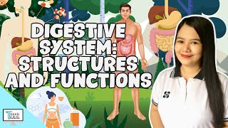 Digestive System Structures and Functions  Biology [upl. by Ewolram]