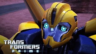 Transformers Prime  Bee Trap  Transformers Official [upl. by Lihcox]