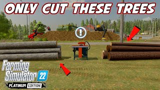 Most Profitable Tree In Farming Simulator 22 [upl. by Yleek]