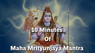 10 Minutes of Maha Mrityunjaya Mantra [upl. by Leacock691]