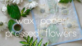 Wax paper pressed flowers [upl. by Hyps]