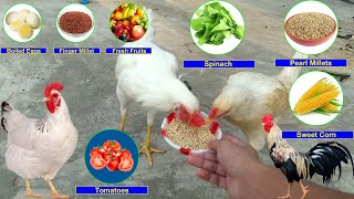 What do Chickens eat Chicken Food List  What To Feed Chickens [upl. by Eram]