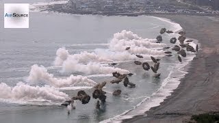 Massive Korea amp US Marines Amphibious Beach Landing [upl. by Hwang]