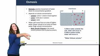 Cell Physiology Membrane Transport [upl. by Elime]