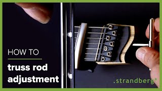 Truss Rod Adjustment [upl. by Anaahs]