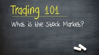 Trading 101 What is the Stock Market [upl. by Neiviv]