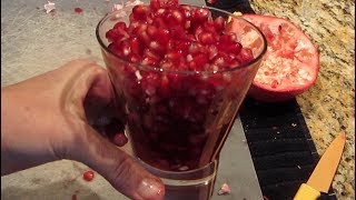 How to Eat a Pomegranate Seed [upl. by Lesslie551]