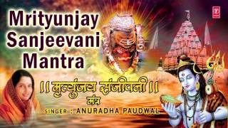 मृत्युंजय महादेव मंत्र Mrityunjay Sanjeevani Mantra  Om Mrutunjay Mahadev  ANURADHA PAUDWAL Audio [upl. by Enelaehs972]