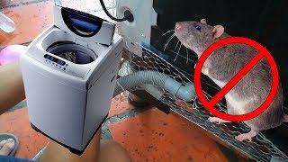 How to Protect Your Panasonic Washing Machine from Rat [upl. by Smiga]