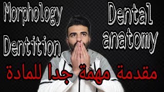 دينتال اناتومي ـ الجزء الاول  Important dental terms amp introduction of dental Anatomy [upl. by Agostino618]