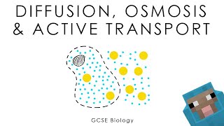 Diffusion Osmosis amp Active Transport  Biology full version [upl. by Lerraj]