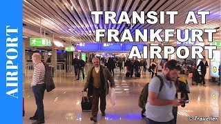 TRANSIT WALK AT FRANKFURT Airport FRA Terminal 1  Connection Flight Transfer Arriving amp Departing [upl. by Dnomder]