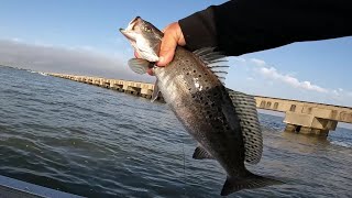 Lake Pontchartrain Trestle Report Today [upl. by Noffets]